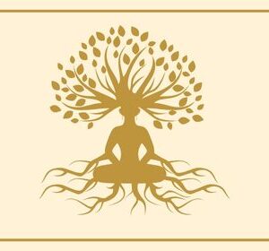 FORTNIGHTLY MENTORING